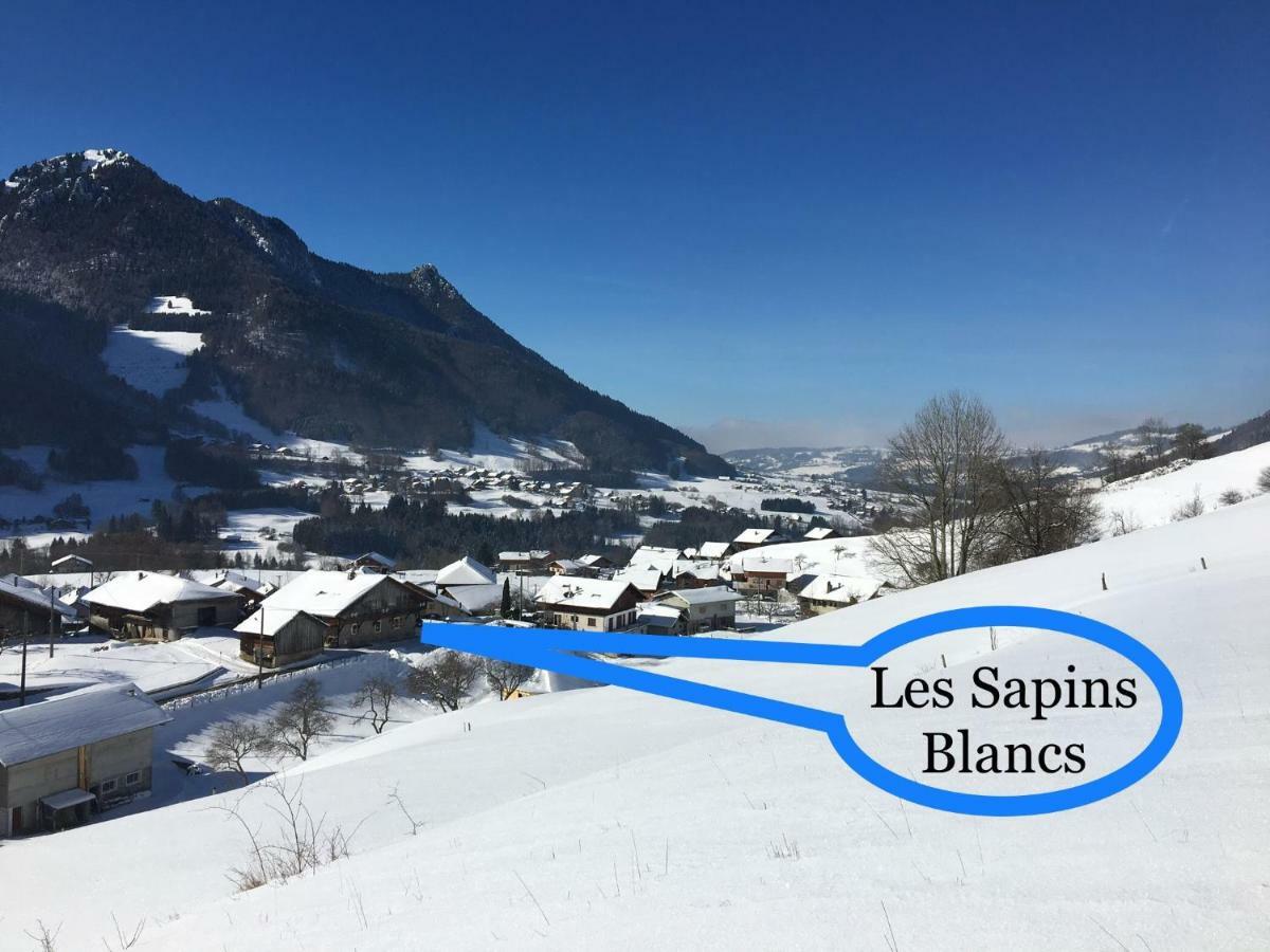 דירות Vacheresse Les Sapins Blancs מראה חיצוני תמונה